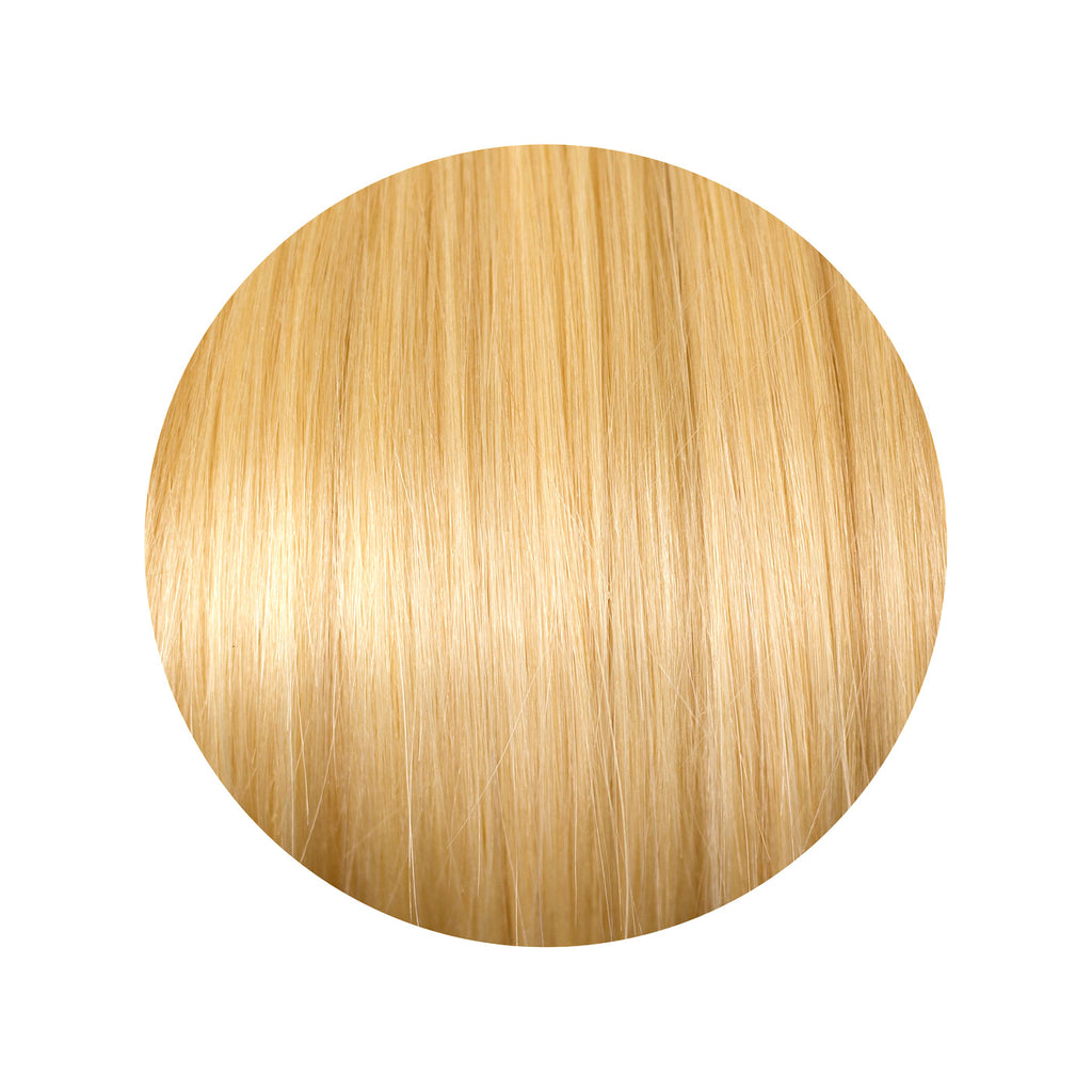 Hair Extensions - Platinum Blonde #60 - Le Angelique
